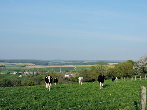 Vue de Bethelainville en arrivant par Dombasle