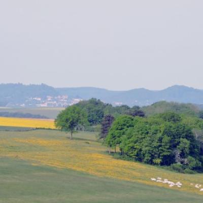 Vue sur l'Argonne