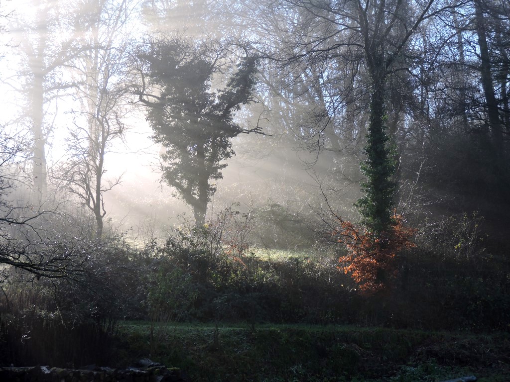 Rayon de soleil automnale derrière notre maison